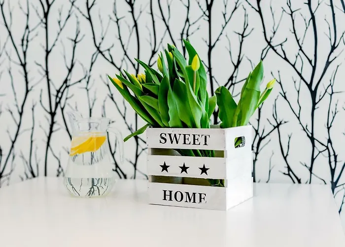 43 Z Widokiem Na Jezioro - *